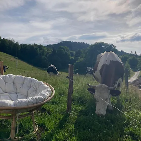 Yourte A La Ferme * Ramonchamp