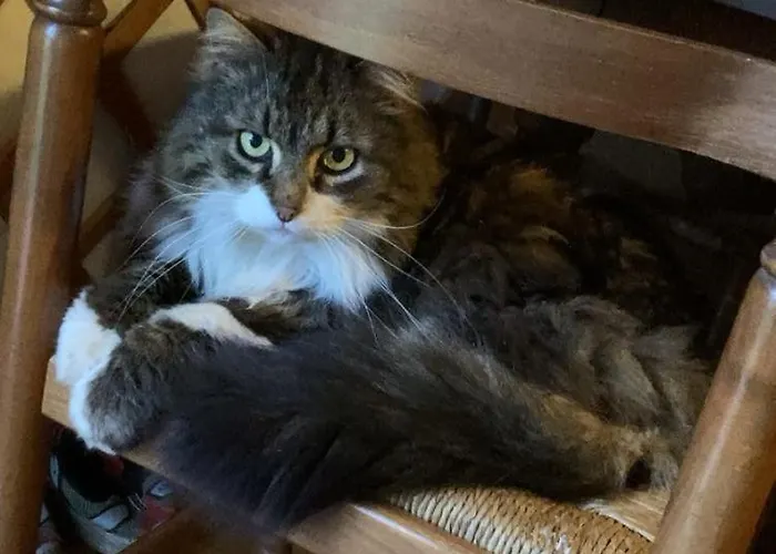 Kemp Yourte A La Ferme *