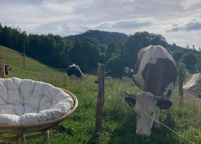 Yourte A La Ferme * Ramonchamp