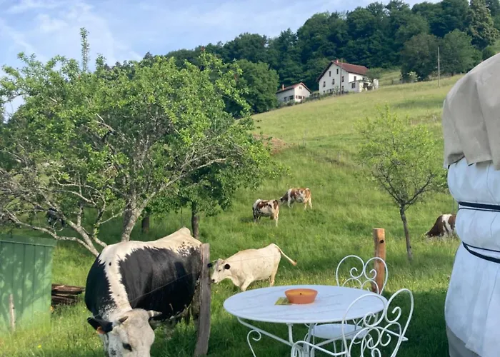 Kemp Yourte A La Ferme Ramonchamp